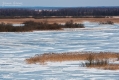 030_Biebrza - marzec 2013